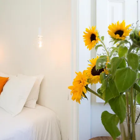 Julieta 코임브라