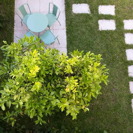 Bed & Breakfast Julieta Coimbra