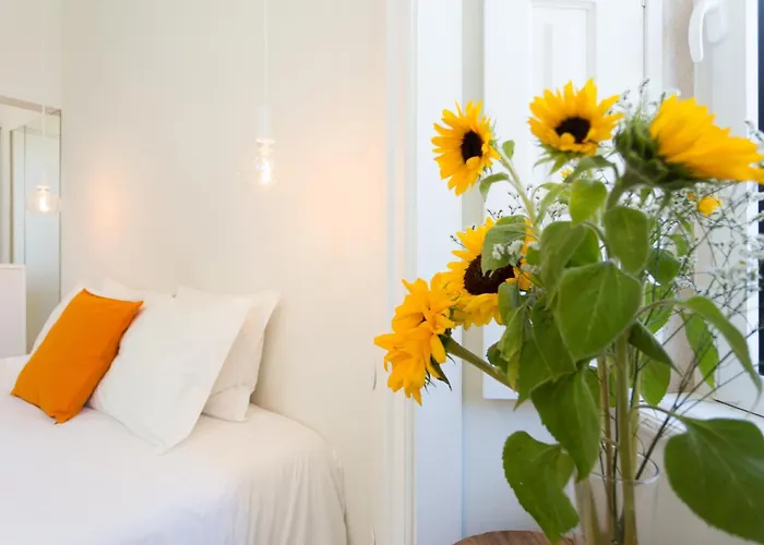 Julieta קוימברה